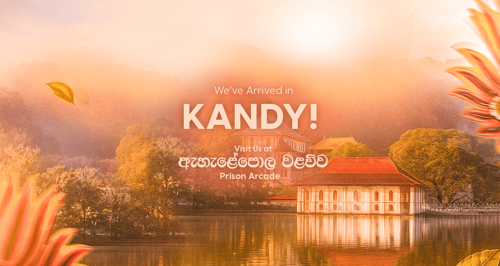 Hero image of pgmartin website