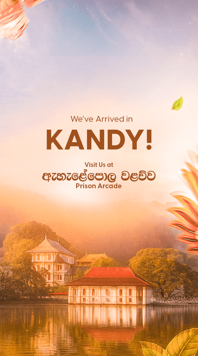 Hero image of pgmartin website